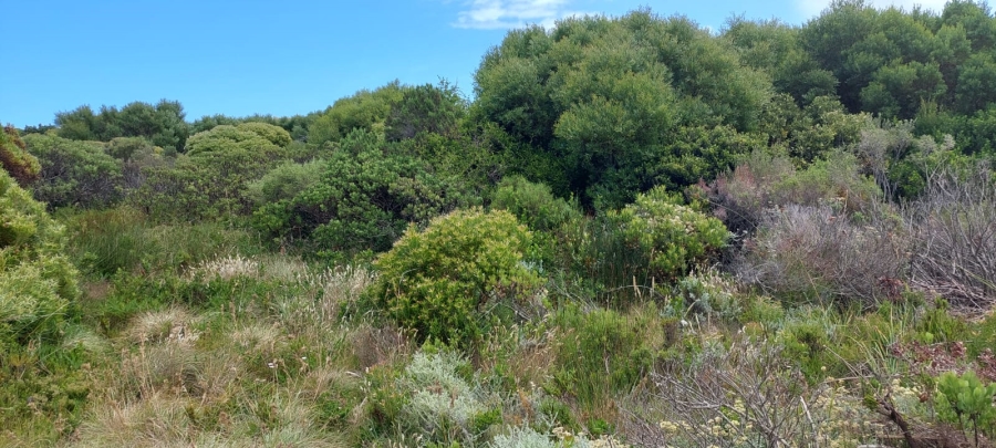 Commercial Property for Sale in Bettys Bay Western Cape